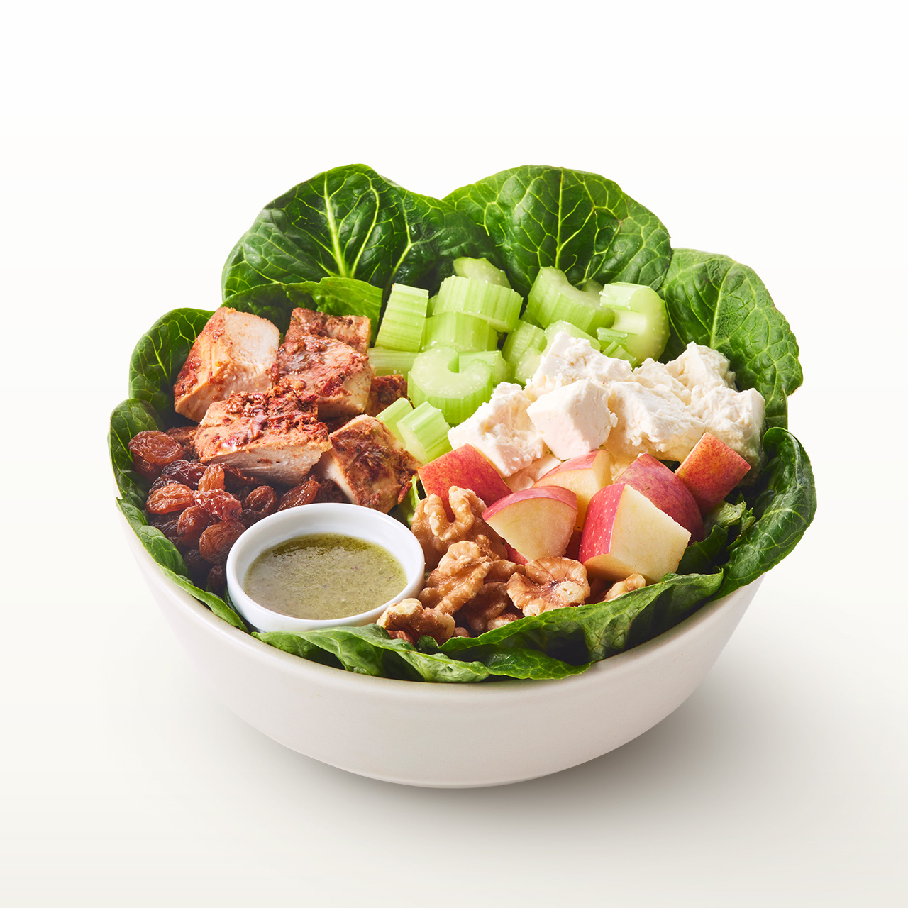 クリスプ・サラダワークス ヒップスター THE HIPSTER