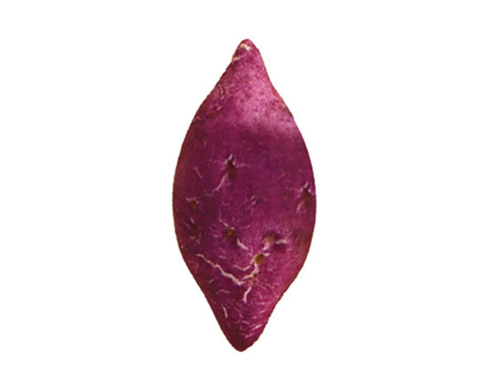 クリスピーチキンアンドトマト 焼き芋パン Roasted Sweet Potato Bun