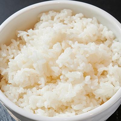 濃厚魚介豚骨つけ麺 つじ田 白ごはん