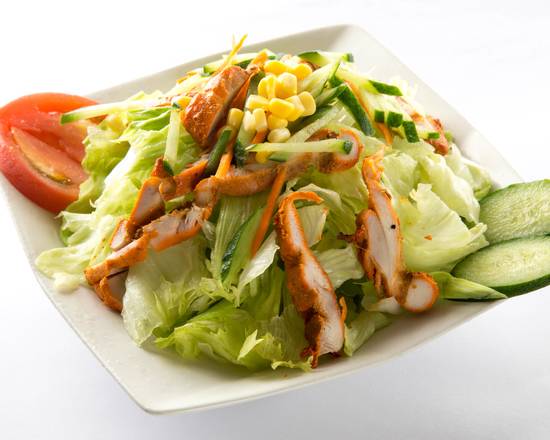 インディアンキッチン メラスペシャルサラダ mela special salad