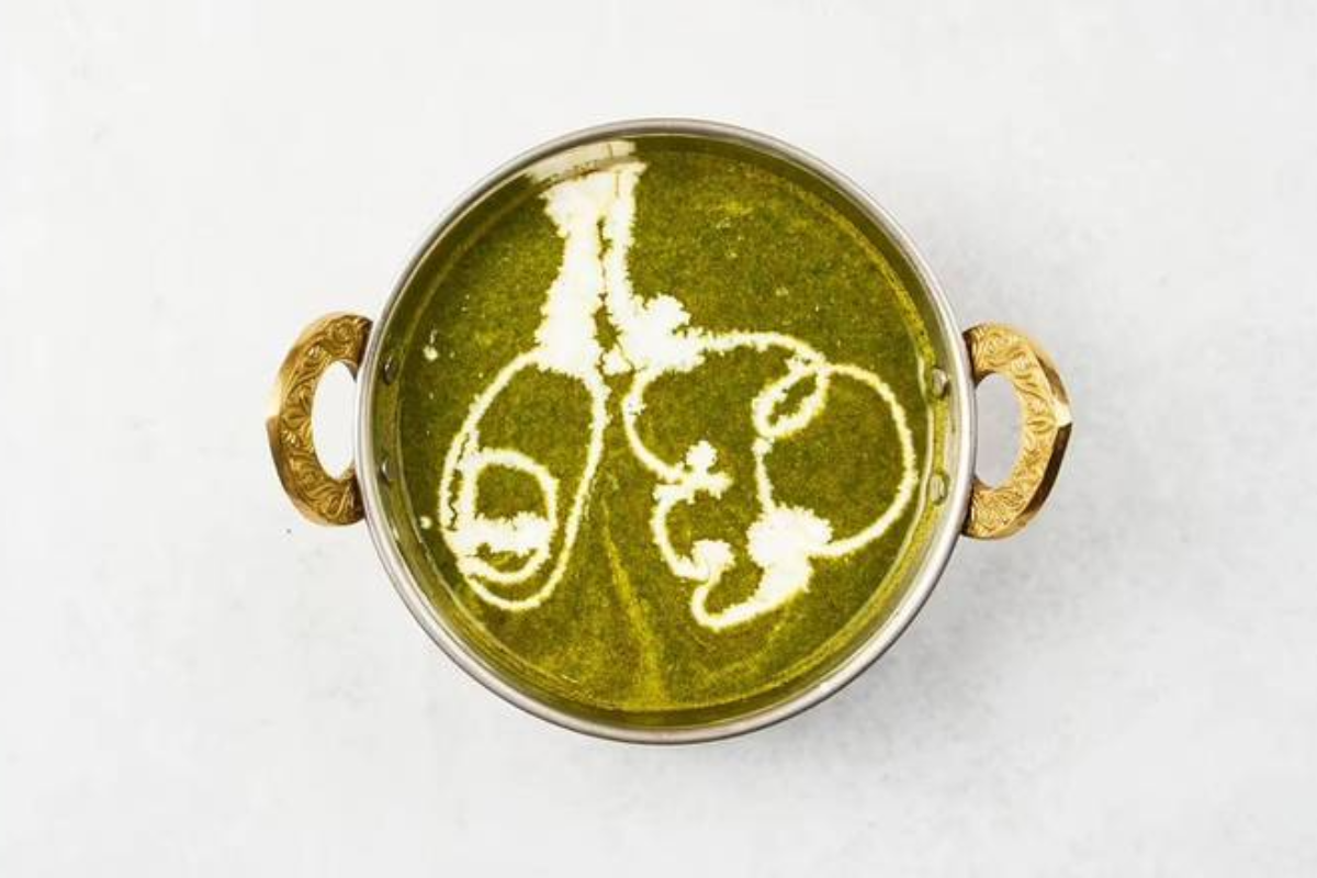 Chicken Sag Curry (ほうれん草チキンカレー)