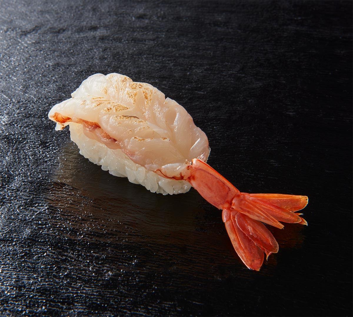 茶月 【茶月】単品 炙り生えび