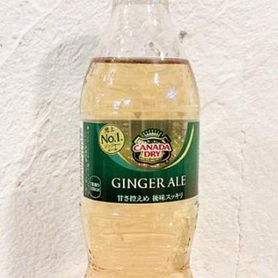 濃厚魚介豚骨つけ麺 つじ田 ジンジャエール 350ml