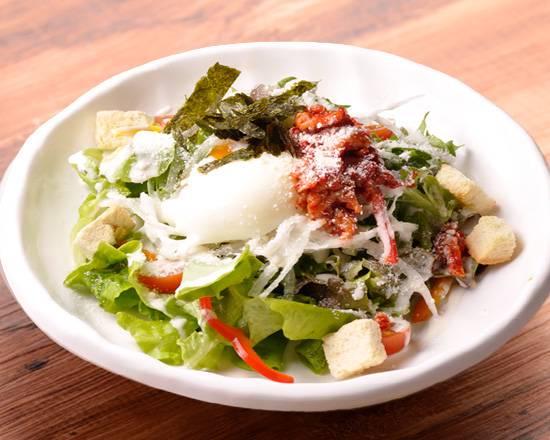 韓国苑 チャンジャのシーザーサラダ