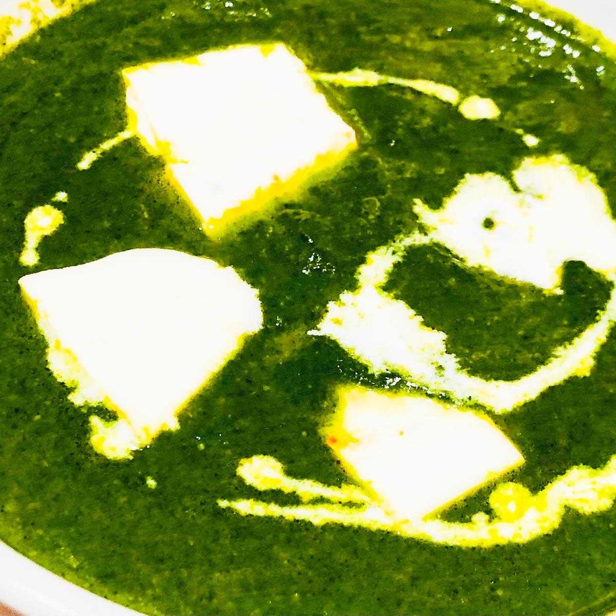 スパイスhub Saag paneer curry サーグパニールカレー