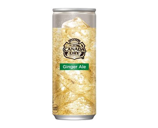 モンスターグリル ジンジャーエール250ml(HORECA)