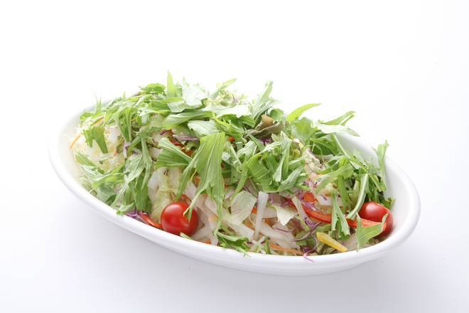 サンガム グリーンサラダ GREEN SALAD